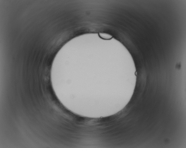 X0000115760078200912241738