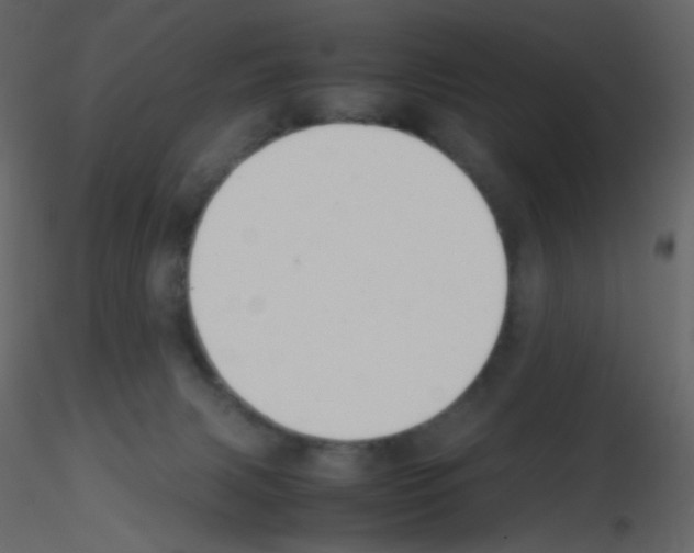 X0000115760079200912241738