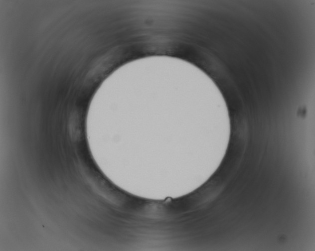 X0000115760080200912241738