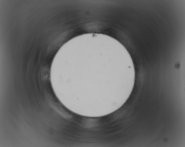 X0000115760081200912241738