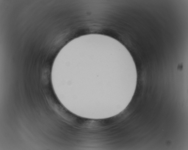 X0000115760082200912241738