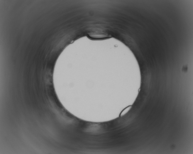 X0000115760083200912241738