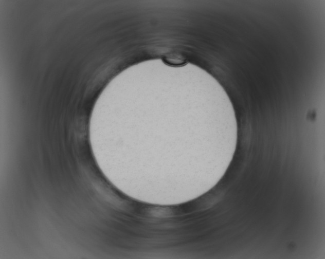 X0000115760085200912241738
