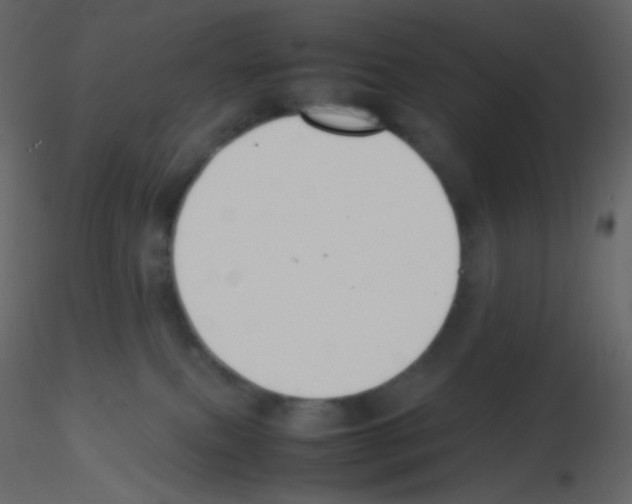 X0000115760087200912241738