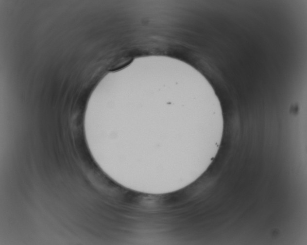 X0000115760088200912241738