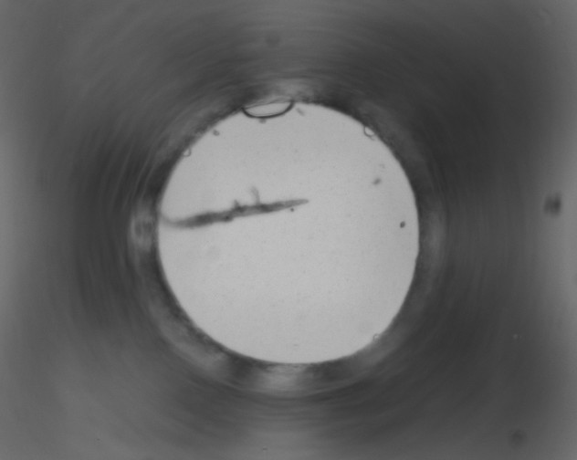 X0000115760090200912241738