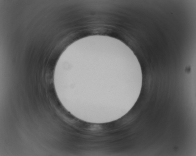 X0000115760091200912241738