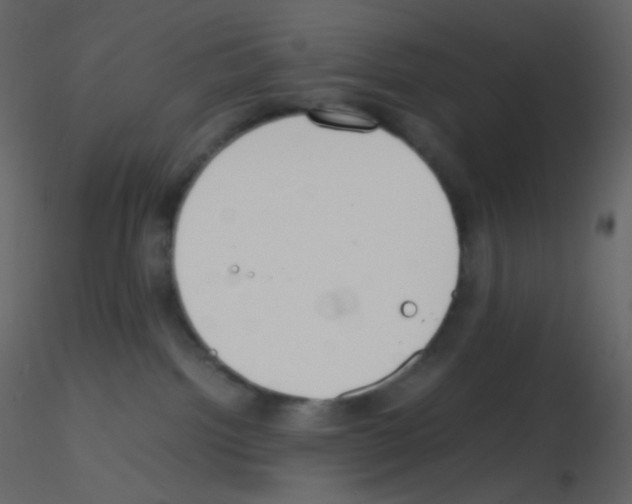 X0000115760092200912241738