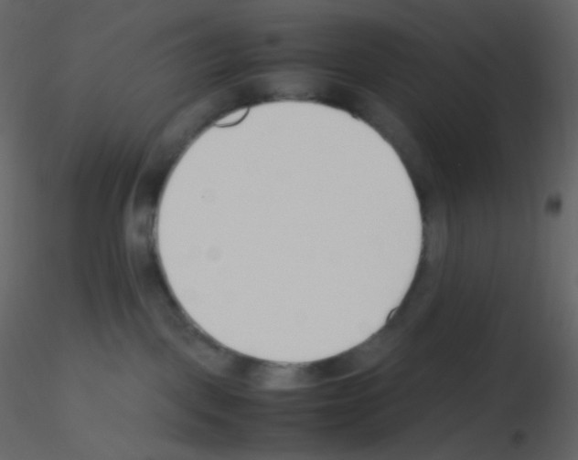 X0000115760093200912241738