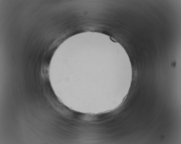 X0000115760094200912241738