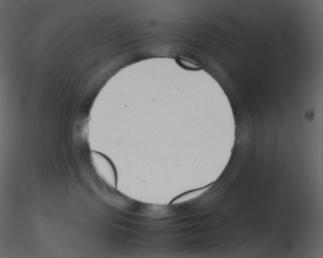 X0000115760095200912241738
