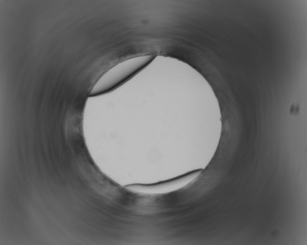 X0000115760096200912241738
