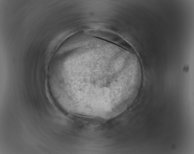 X0000115760097200912241737