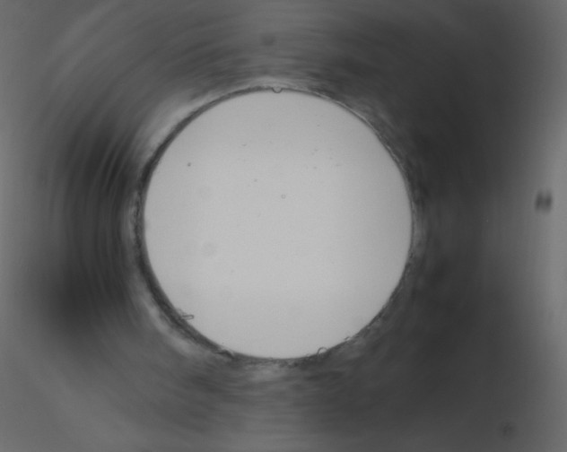 X0000115760098200912241737