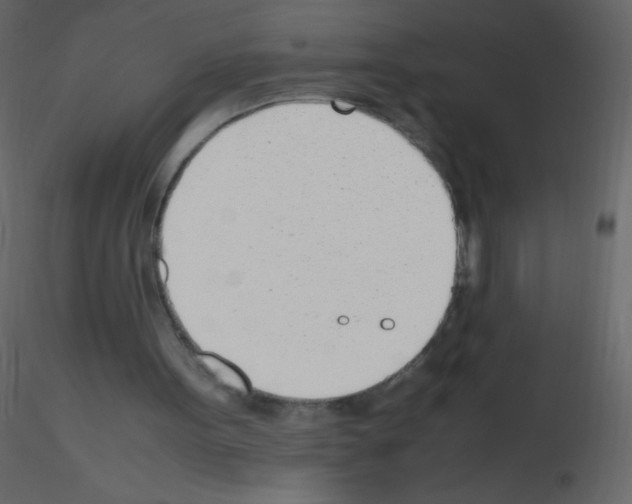 X0000115760099200912241737