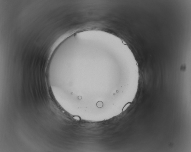 X0000115760100200912241737