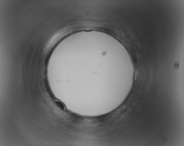 X0000115760101200912241737