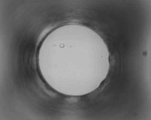 X0000115760102200912241737