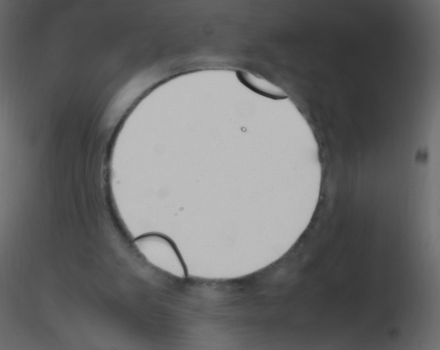 X0000115760103200912241737