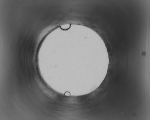 X0000115760104200912241737