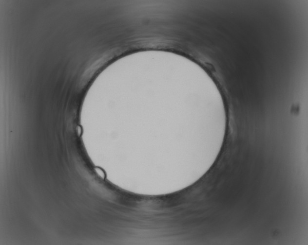 X0000115760105200912241737