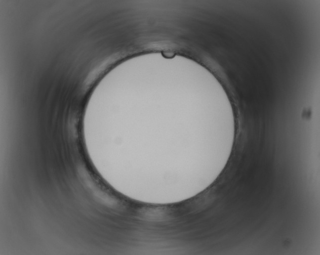X0000115760106200912241737