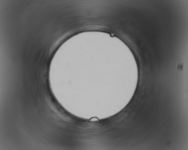 X0000115760107200912241737