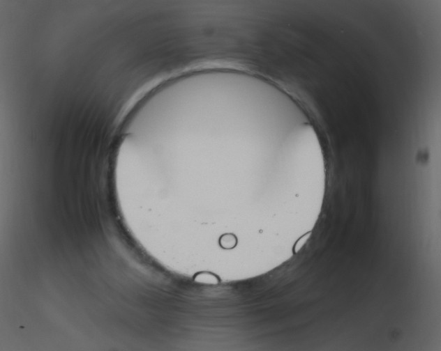 X0000115760108200912241737