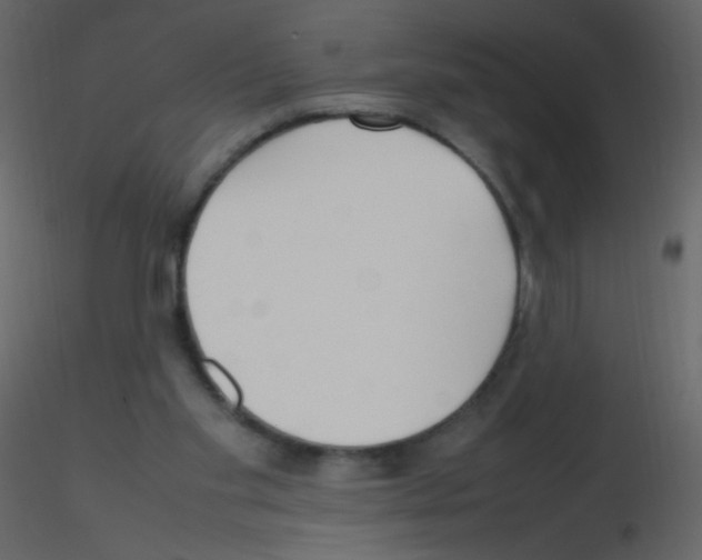 X0000115760109200912241737