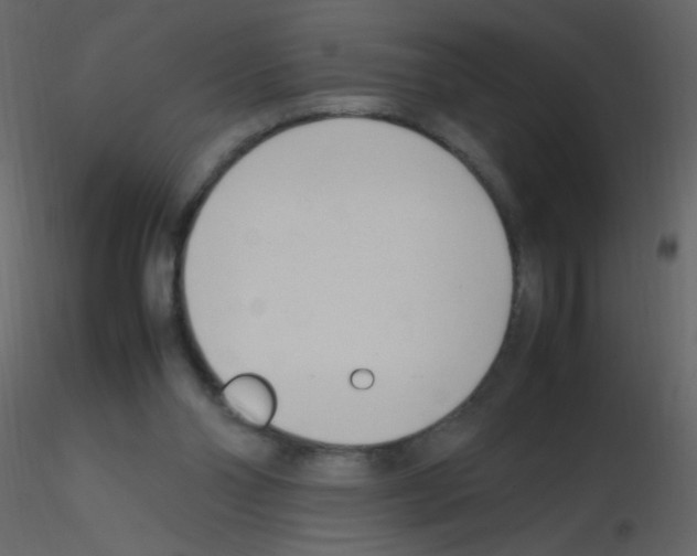 X0000115760110200912241737