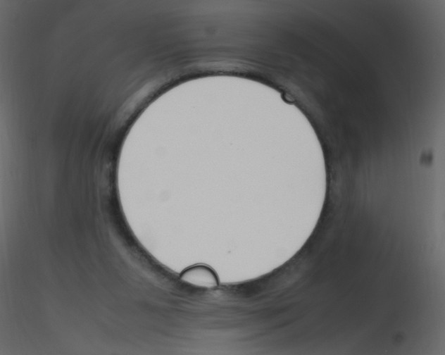 X0000115760111200912241737