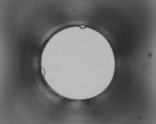 X0000115760112200912241737