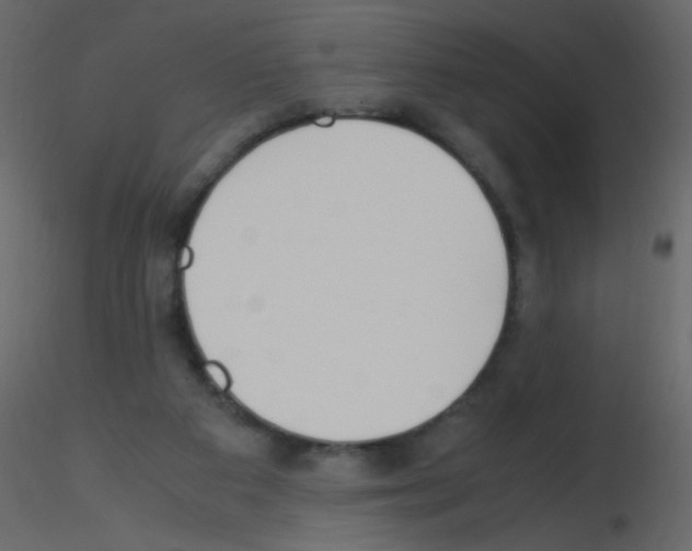 X0000115760113200912241737