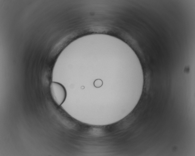 X0000115760114200912241737