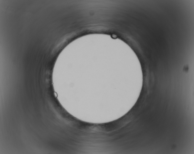 X0000115760115200912241737