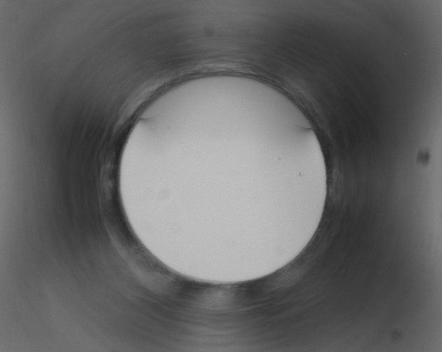 X0000115760116200912241737