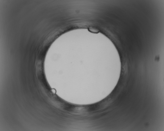 X0000115760117200912241737
