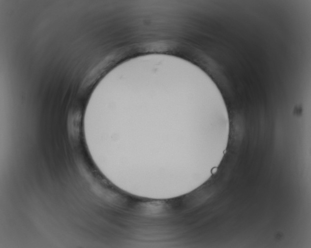 X0000115760118200912241737