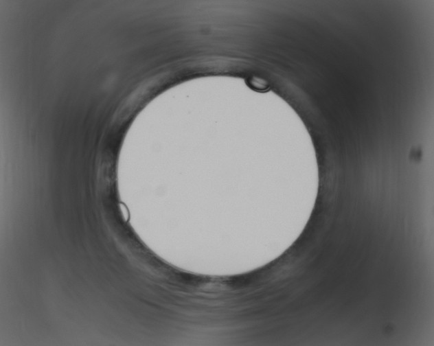 X0000115760119200912241737