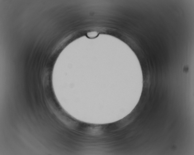 X0000115760120200912241737