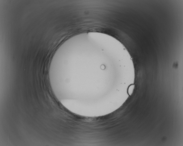 X0000115760121200912241737