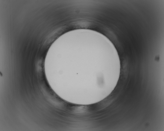 X0000115760122200912241737