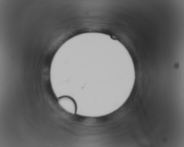 X0000115760123200912241737