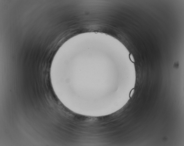 X0000115760124200912241737