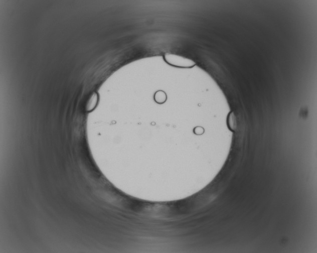 X0000115760125200912241737