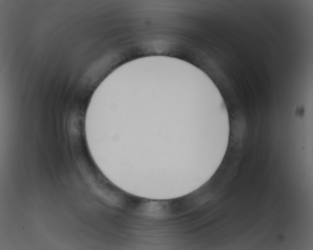 X0000115760126200912241737