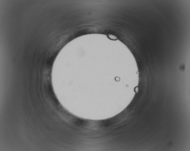 X0000115760127200912241737