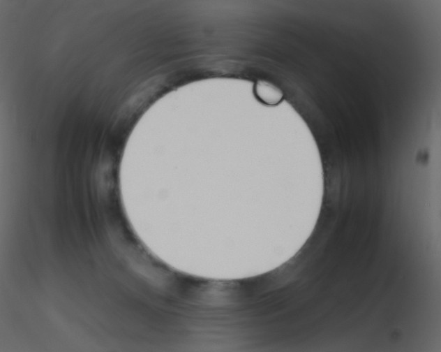 X0000115760128200912241737
