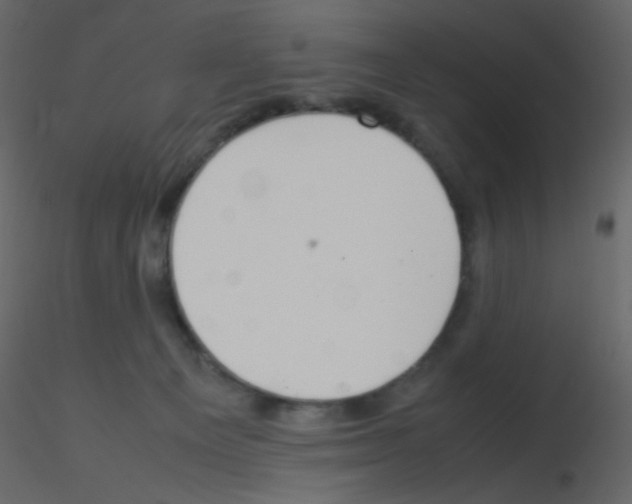 X0000115760129200912241737