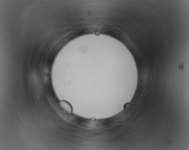 X0000115760130200912241737